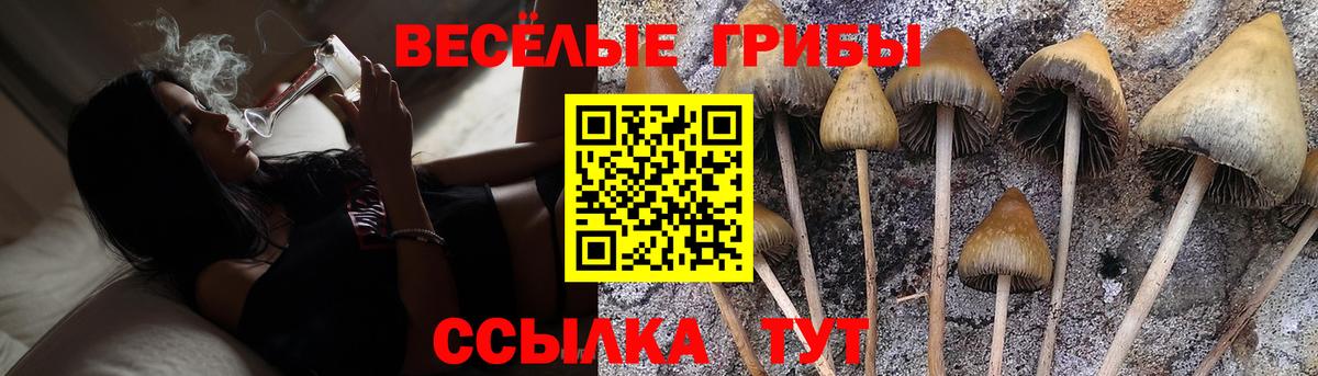 Галлюциногенные грибы Cubensis  Вход с VPN  Псилоцибиновые грибы Magic Shrooms  Норильск 